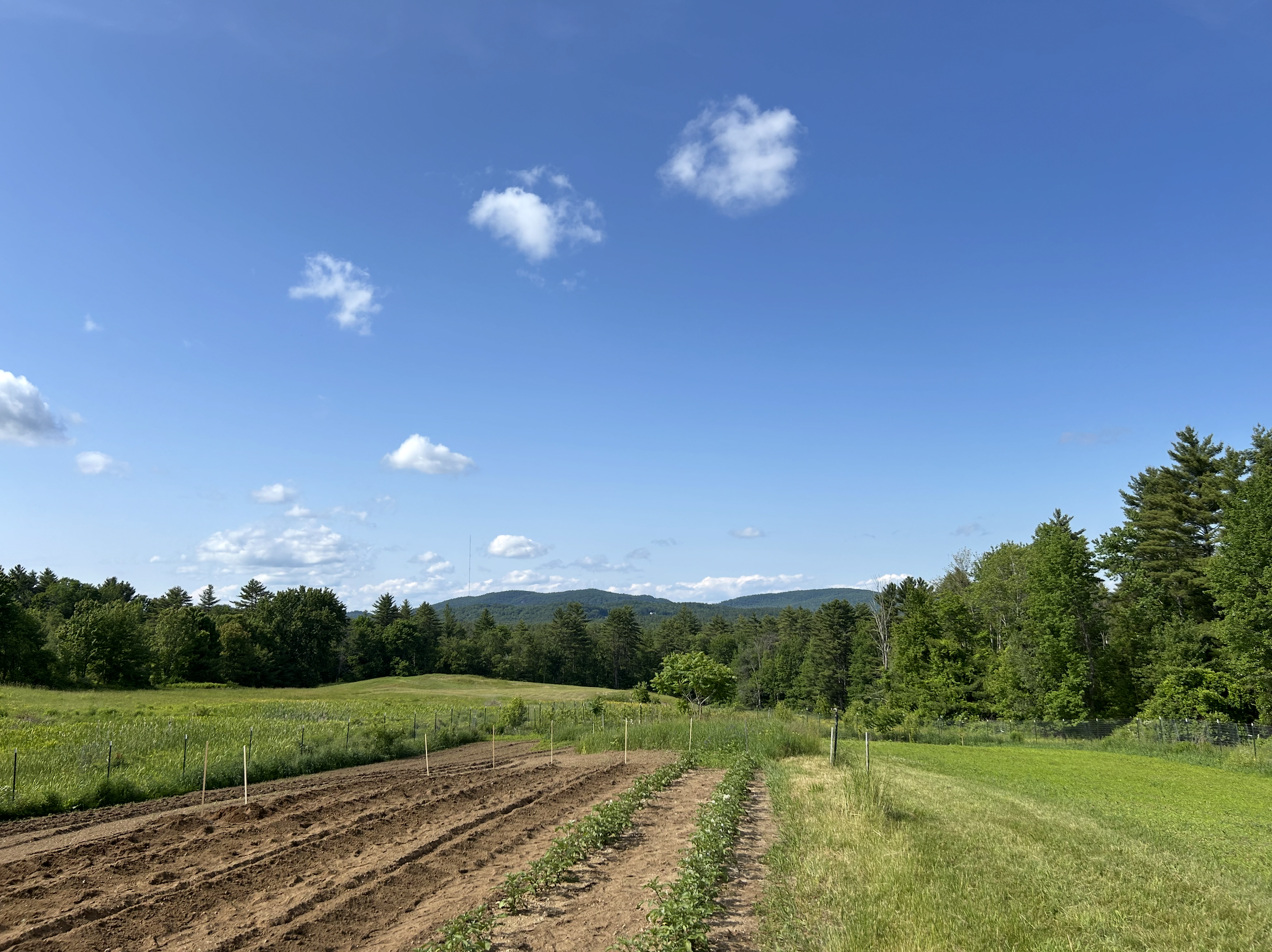 Limington Farm Feature Gallery Image